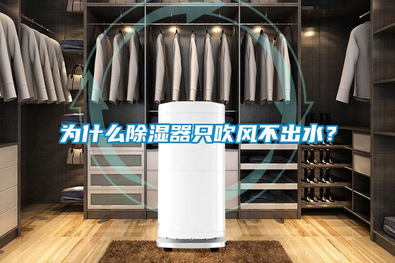 為什么除濕器只吹風(fēng)不出水?