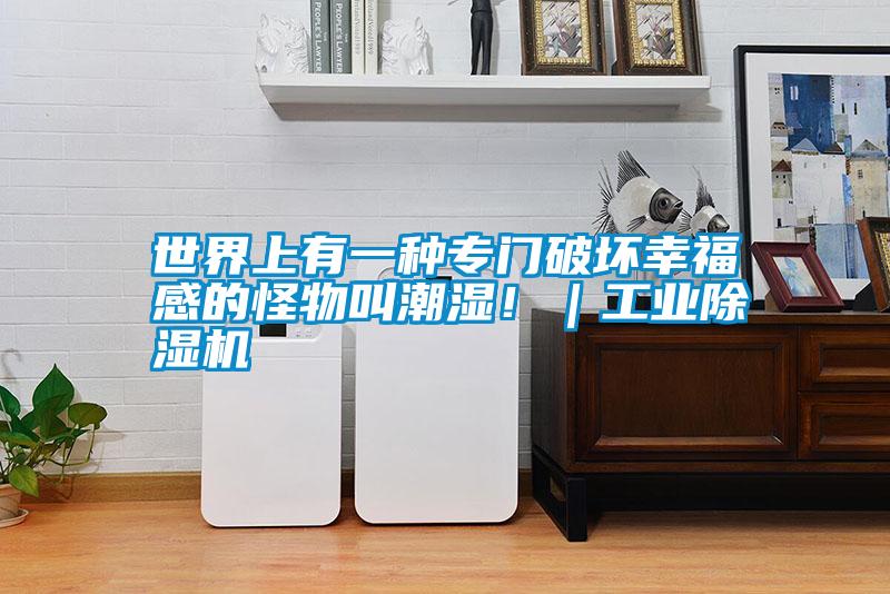 世界上有一種專門破壞幸福感的怪物叫潮濕?。I除濕機