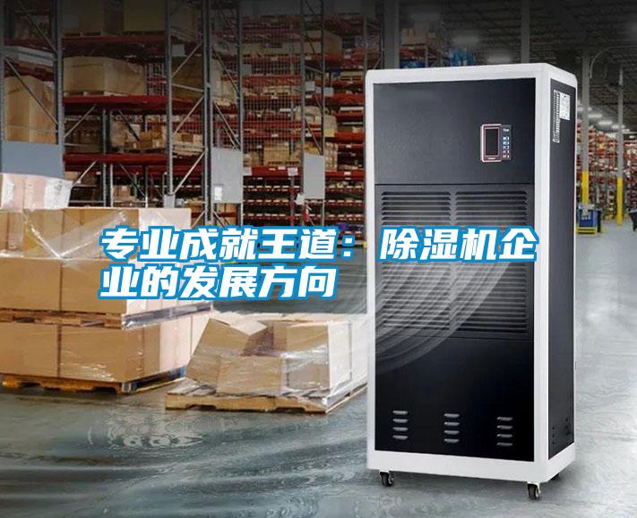 專業(yè)成就王道:除濕機企業(yè)的發(fā)展方向