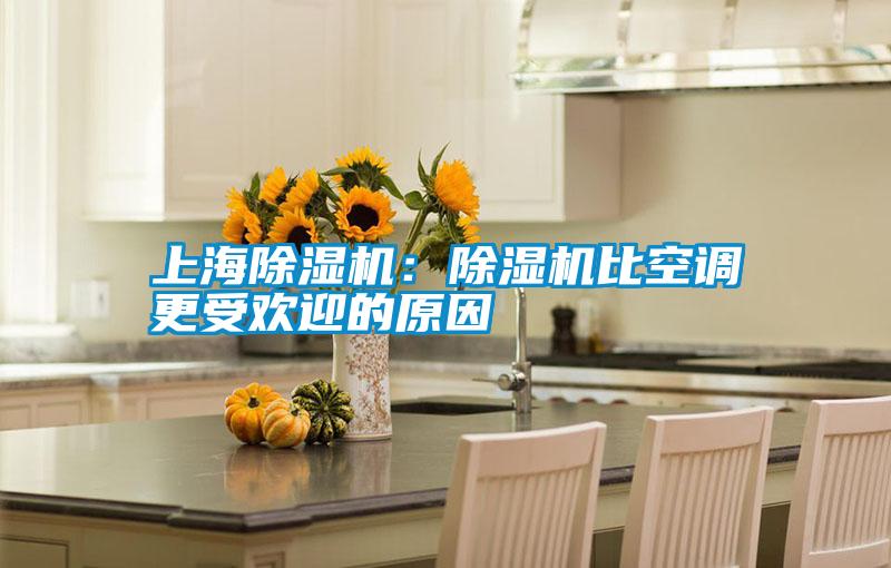 上海除濕機:除濕機比空調更受歡迎的原因