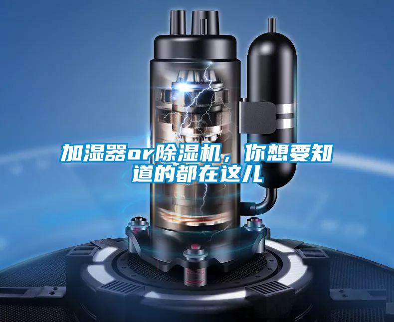 加濕器or除濕機，你想要知道的都在這兒