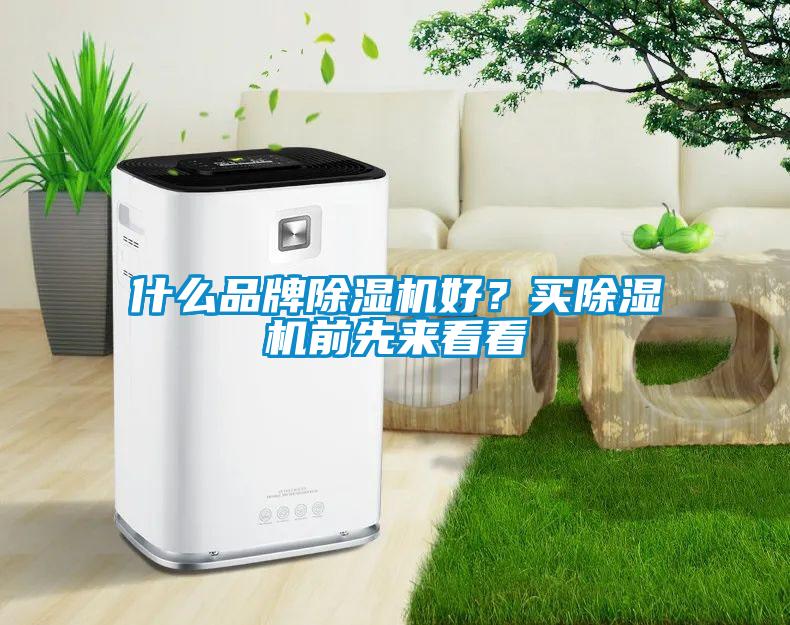 什么品牌除濕機(jī)好？買除濕機(jī)前先來看看