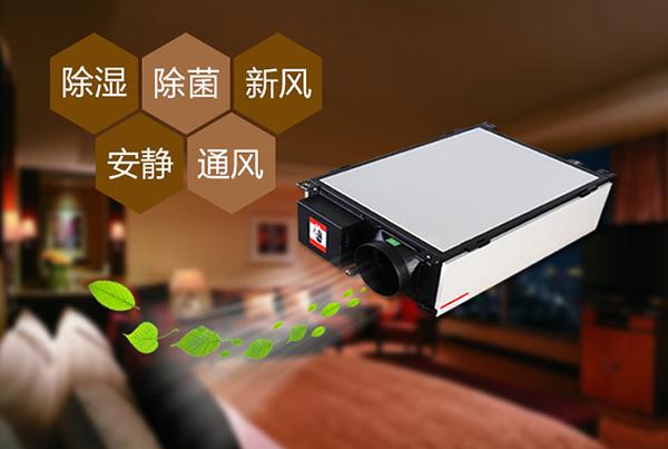 只有做好品牌,除濕機企業(yè)才能更長久