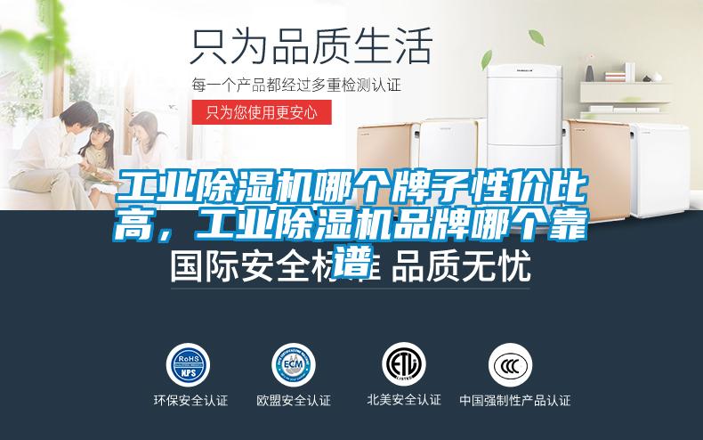 工業除濕機哪個牌子性價比高，工業除濕機品牌哪個靠譜