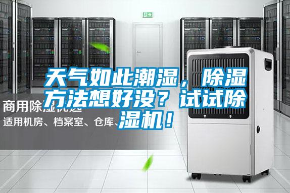 天氣如此潮濕,除濕方法想好沒?試試除濕機!