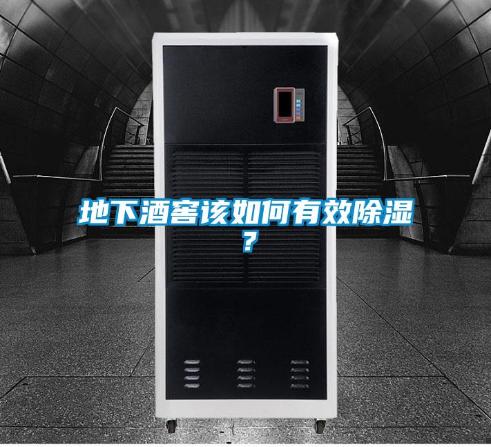 地下酒窖該如何有效除濕?