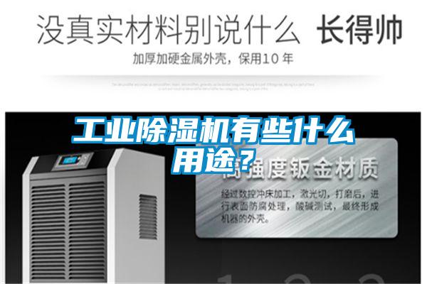 工業(yè)除濕機(jī)有些什么用途?