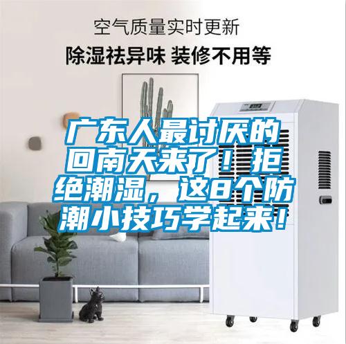 廣東人最討厭的回南天來(lái)了!拒絕潮濕,這8個(gè)防潮小技巧學(xué)起來(lái)!