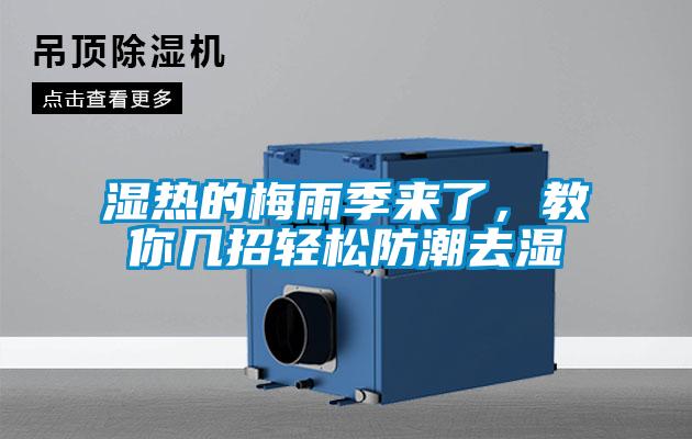 濕熱的梅雨季來了,教你幾招輕松防潮去濕