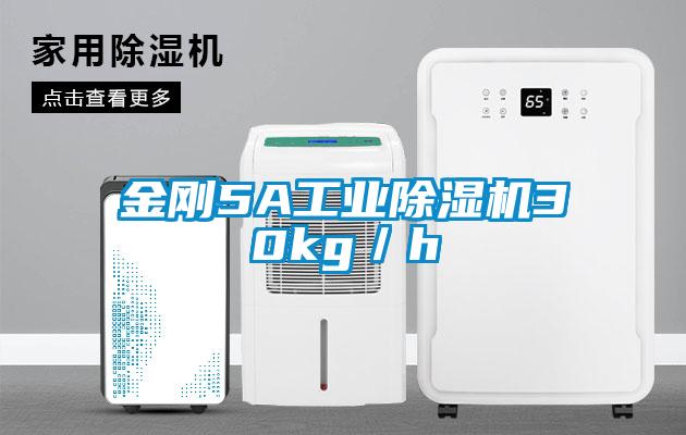 金剛5A工業(yè)除濕機30kg/h