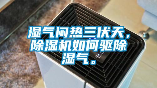 濕氣悶熱三伏天，除濕機如何驅除濕氣。
