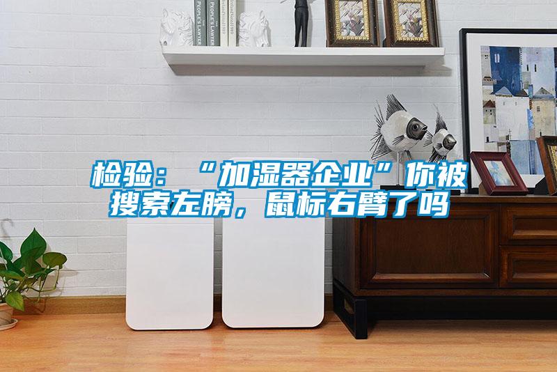 檢驗：“加濕器企業”你被搜索左膀，鼠標右臂了嗎