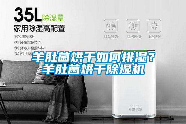 羊肚菌烘干如何排濕？羊肚菌烘干除濕機