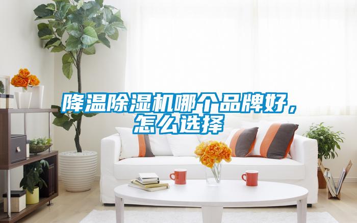 降溫除濕機哪個品牌好，怎么選擇