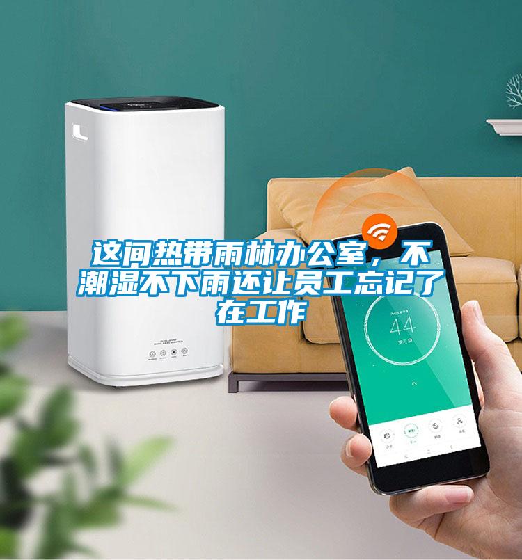 這間熱帶雨林辦公室,不潮濕不下雨還讓員工忘記了在工作