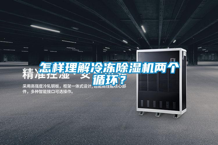 怎樣理解冷凍除濕機兩個循環?