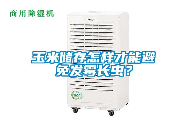 玉米儲存怎樣才能避免發(fā)霉長蟲?