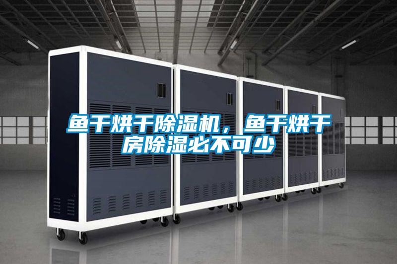 魚干烘干除濕機,魚干烘干房除濕必不可少