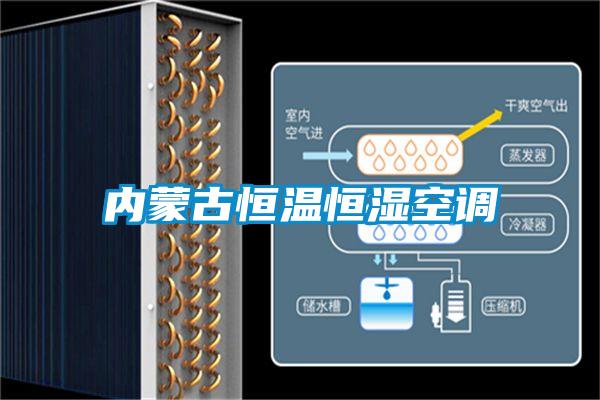 內(nèi)蒙古恒溫恒濕空調