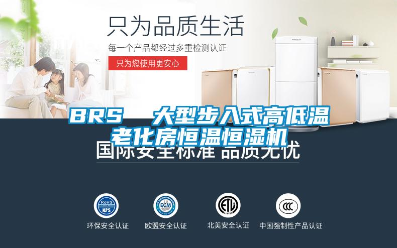 BRS 大型步入式高低溫老化房恒溫恒濕機(jī)