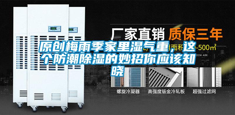 原創(chuàng)梅雨季家里濕氣重,這個(gè)防潮除濕的妙招你應(yīng)該知曉