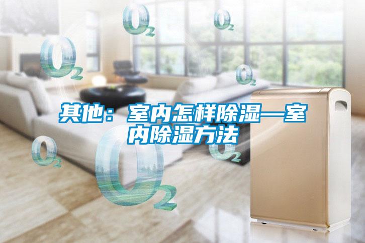其他:室內(nèi)怎樣除濕—室內(nèi)除濕方法