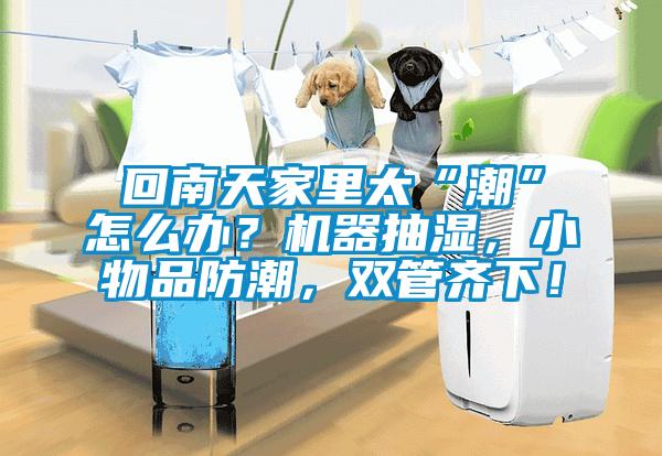 回南天家里太“潮”怎么辦？機器抽濕，小物品防潮，雙管齊下！