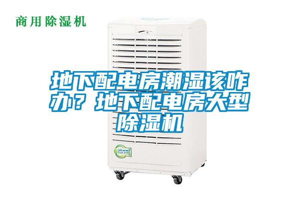 地下配電房潮濕該咋辦?地下配電房大型除濕機