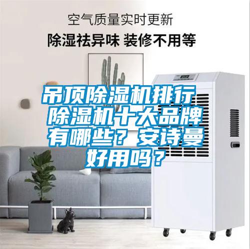 吊頂除濕機排行 除濕機十大品牌有哪些？安詩曼好用嗎？
