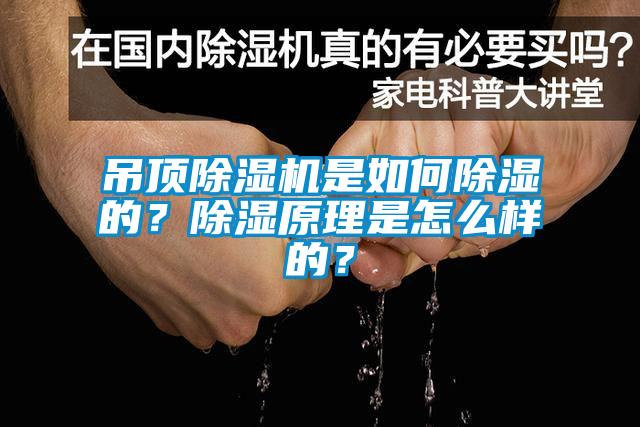 吊頂除濕機(jī)是如何除濕的？除濕原理是怎么樣的？