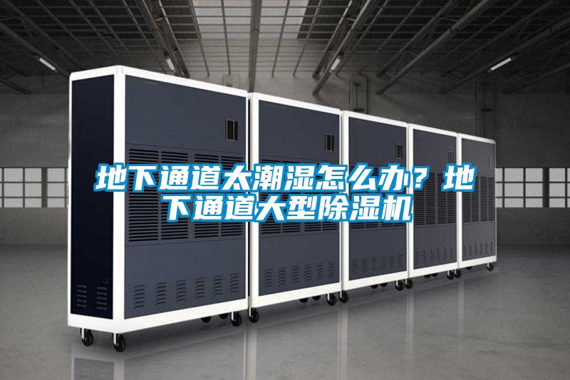 地下通道太潮濕怎么辦?地下通道大型除濕機