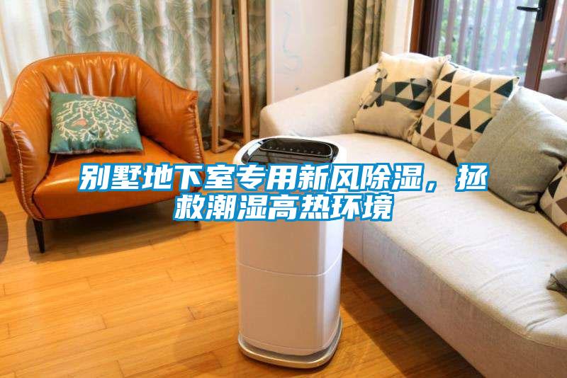 別墅地下室專用新風(fēng)除濕,拯救潮濕高熱環(huán)境