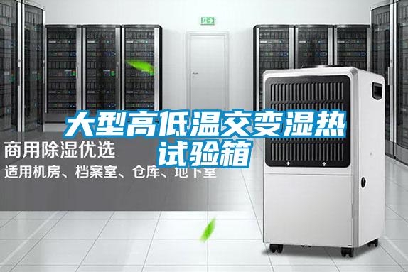 大型高低溫交變濕熱試驗(yàn)箱