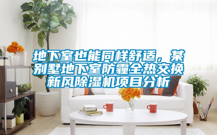 地下室也能同樣舒適,某別墅地下室防霾全熱交換新風(fēng)除濕機(jī)項(xiàng)目分析