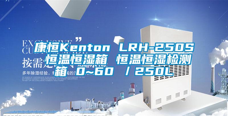 康恒Kenton LRH-250S 恒溫恒濕箱 恒溫恒濕檢測(cè)箱 0~60℃/250L