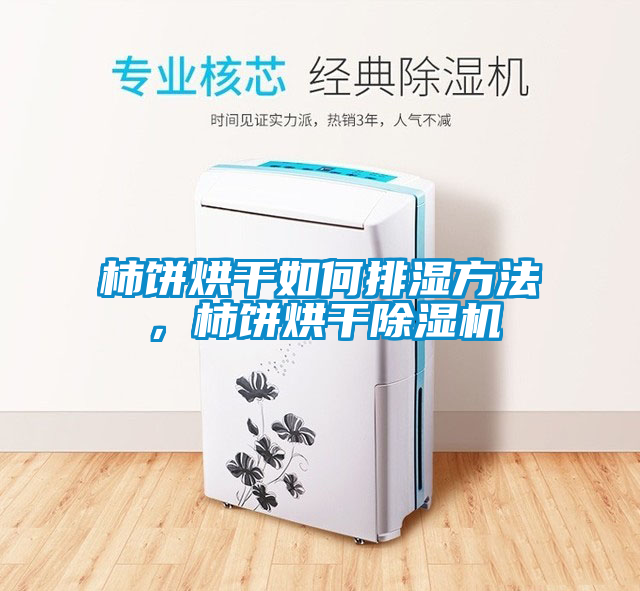 柿餅烘干如何排濕方法,柿餅烘干除濕機