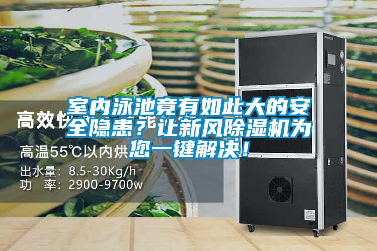 室內(nèi)泳池竟有如此大的安全隱患？讓新風(fēng)除濕機(jī)為您一鍵解決！