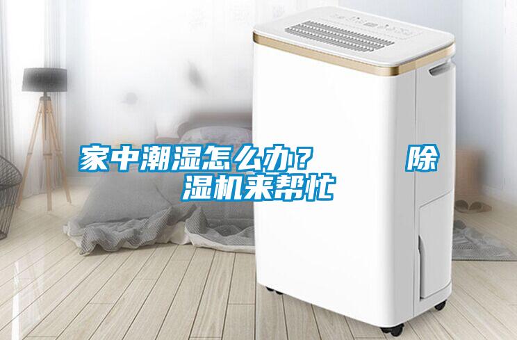家中潮濕怎么辦？    除濕機來幫忙