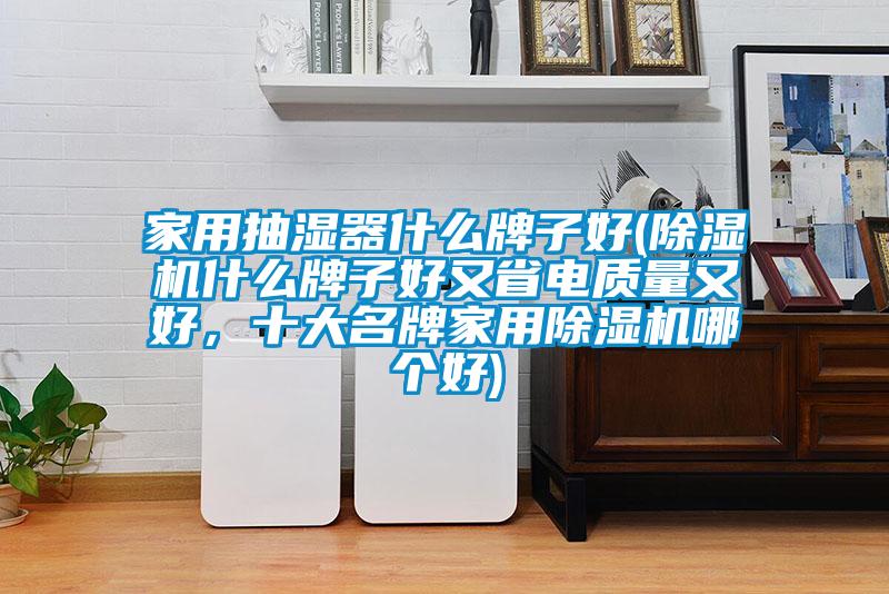 家用抽濕器什么牌子好(除濕機什么牌子好又省電質量又好，十大名牌家用除濕機哪個好)
