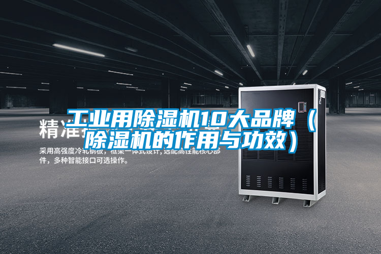 工業(yè)用除濕機(jī)10大品牌(除濕機(jī)的作用與功效)