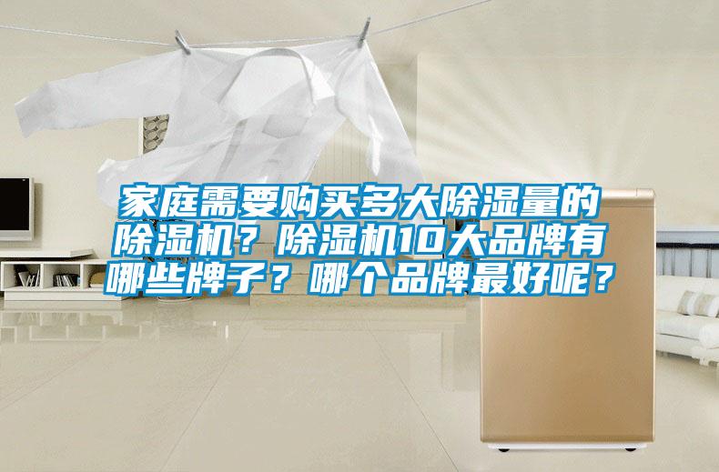 家庭需要購買多大除濕量的除濕機？除濕機10大品牌有哪些牌子？哪個品牌最好呢？