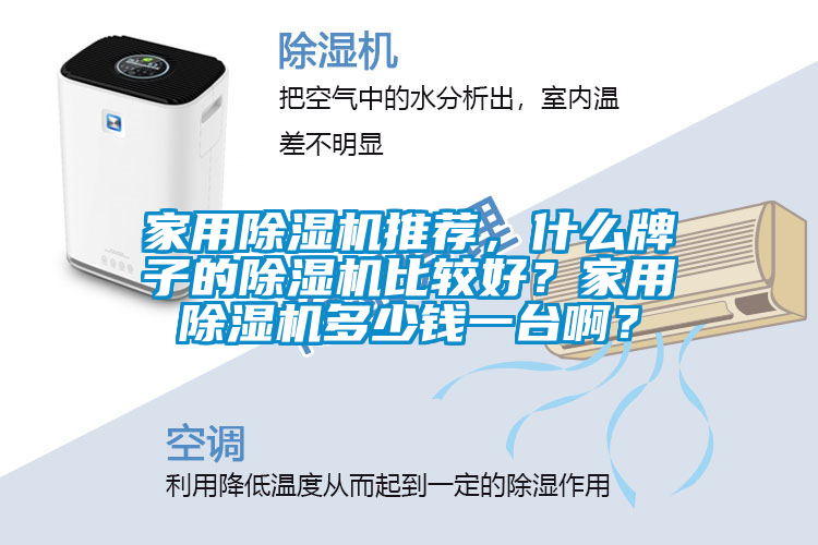 家用除濕機推薦,什么牌子的除濕機比較好?家用除濕機多少錢一臺啊?