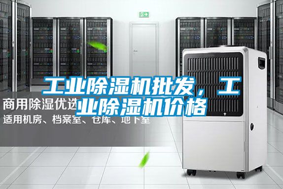 工業(yè)除濕機(jī)批發(fā),工業(yè)除濕機(jī)價格