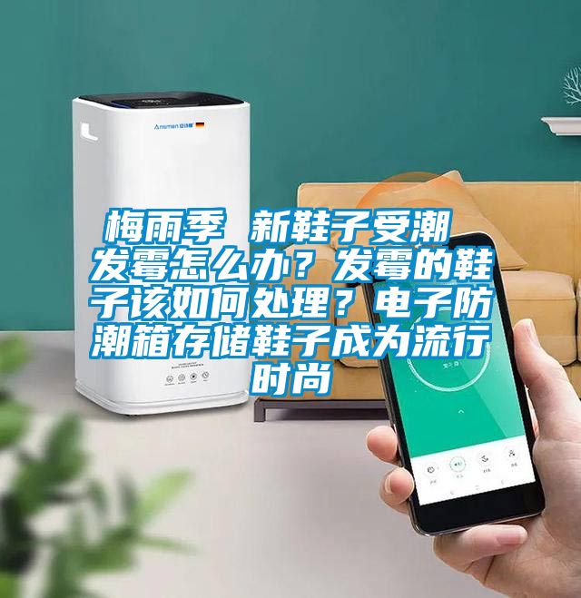 梅雨季 新鞋子受潮 發(fā)霉怎么辦？發(fā)霉的鞋子該如何處理？電子防潮箱存儲鞋子成為流行時尚