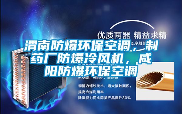 渭南防爆環(huán)保空調，制藥廠防爆冷風機，咸陽防爆環(huán)保空調