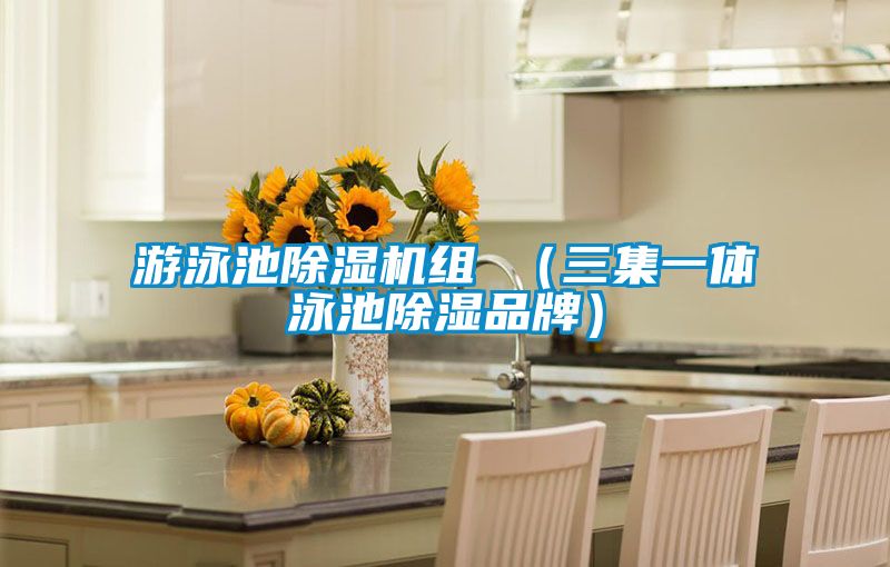 游泳池除濕機(jī)組 (三集一體泳池除濕品牌)