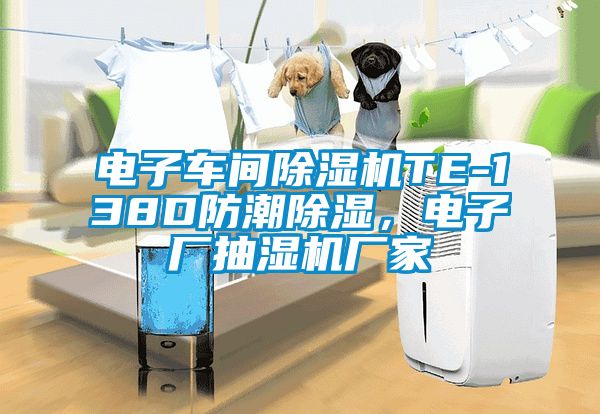 電子車間除濕機TE-138D防潮除濕，電子廠抽濕機廠家