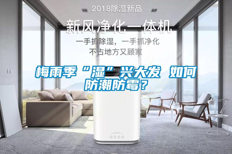 梅雨季“濕”興大發(fā) 如何防潮防霉？