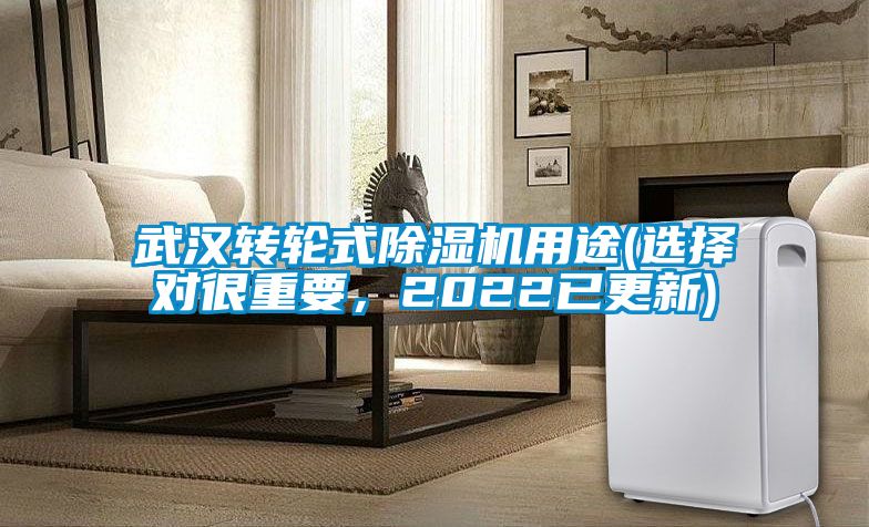 武漢轉(zhuǎn)輪式除濕機(jī)用途(選擇對(duì)很重要,2022已更新)