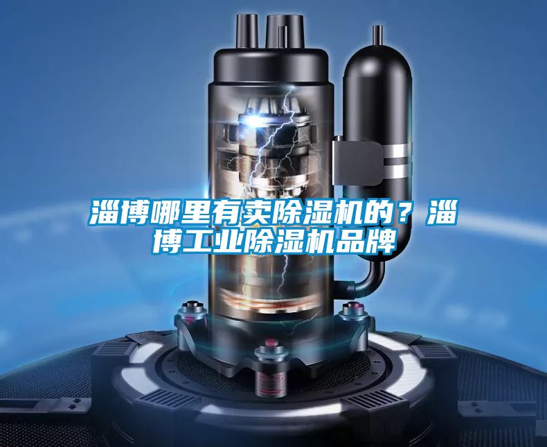 淄博哪里有賣除濕機的？淄博工業除濕機品牌